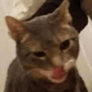 Meet your Posher, Gillian